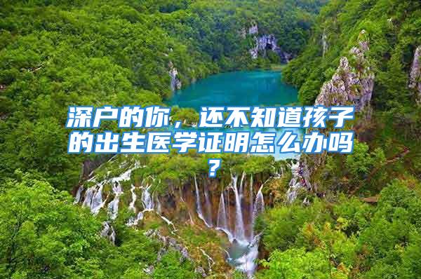 深戶的你，還不知道孩子的出生醫(yī)學(xué)證明怎么辦嗎？