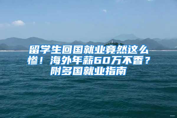 留學(xué)生回國就業(yè)竟然這么慘！海外年薪60萬不香？附多國就業(yè)指南