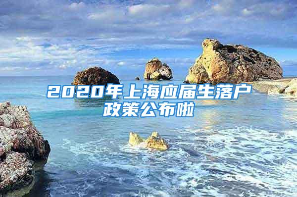 2020年上海應(yīng)屆生落戶政策公布啦