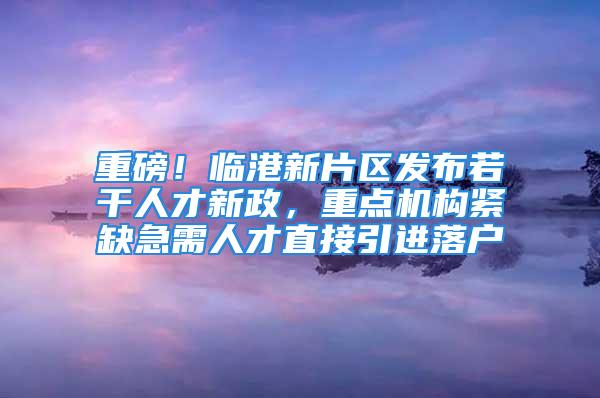 重磅！臨港新片區(qū)發(fā)布若干人才新政，重點(diǎn)機(jī)構(gòu)緊缺急需人才直接引進(jìn)落戶