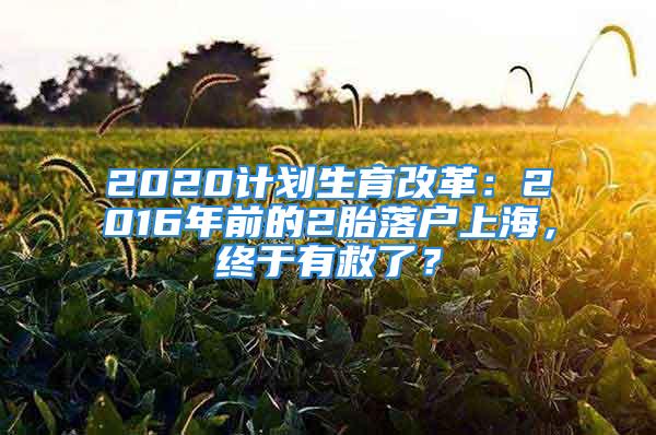 2020計(jì)劃生育改革：2016年前的2胎落戶上海，終于有救了？