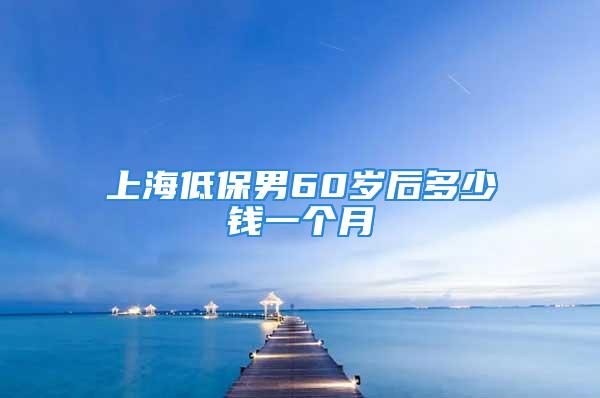 上海低保男60歲后多少錢(qián)一個(gè)月