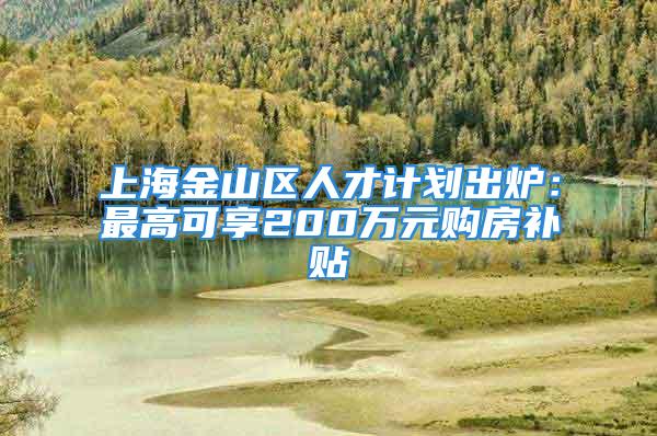 上海金山區(qū)人才計(jì)劃出爐：最高可享200萬(wàn)元購(gòu)房補(bǔ)貼