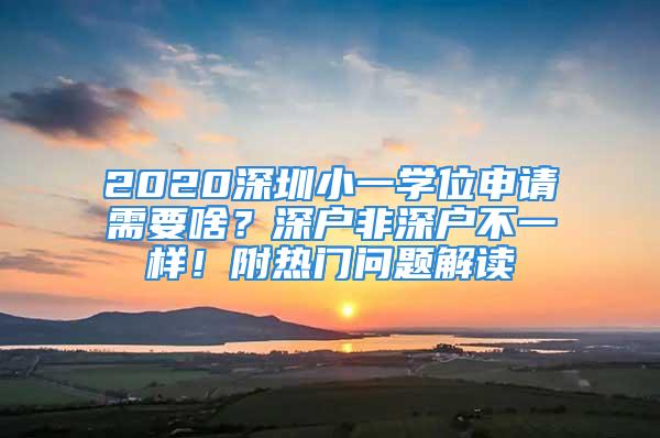 2020深圳小一學(xué)位申請(qǐng)需要啥？深戶非深戶不一樣！附熱門問題解讀