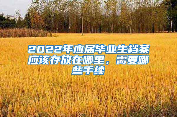 2022年應(yīng)屆畢業(yè)生檔案應(yīng)該存放在哪里，需要哪些手續(xù)