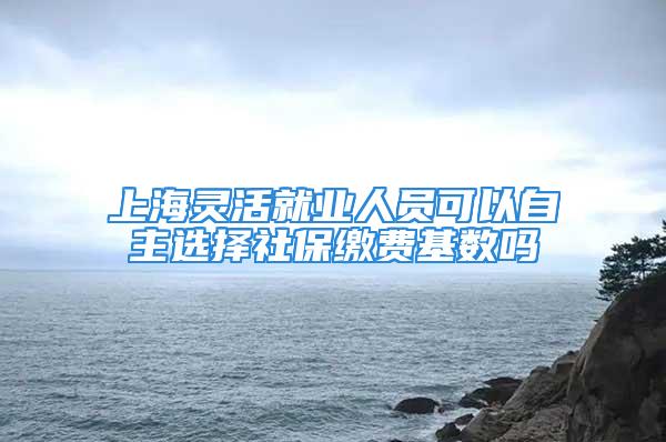 上海靈活就業(yè)人員可以自主選擇社保繳費(fèi)基數(shù)嗎