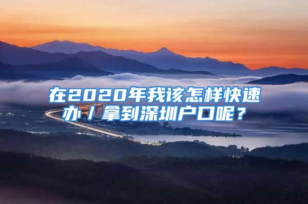 在2020年我該怎樣快速辦／拿到深圳戶口呢？