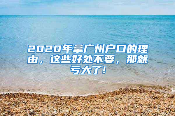 2020年拿廣州戶口的理由，這些好處不要，那就虧大了!