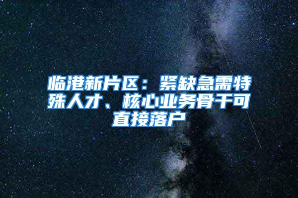 臨港新片區(qū)：緊缺急需特殊人才、核心業(yè)務(wù)骨干可直接落戶