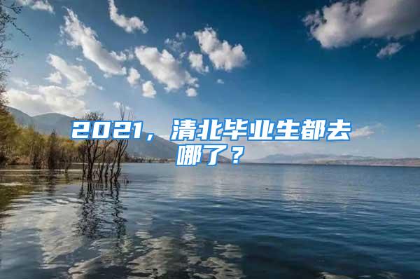 2021，清北畢業(yè)生都去哪了？