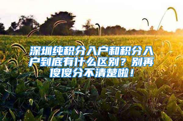 深圳純積分入戶和積分入戶到底有什么區(qū)別？別再傻傻分不清楚啦！