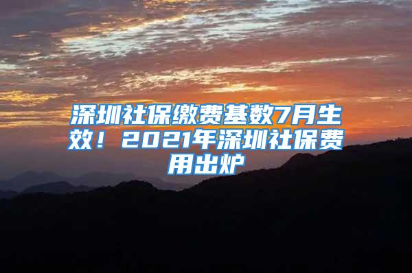 深圳社保繳費(fèi)基數(shù)7月生效！2021年深圳社保費(fèi)用出爐