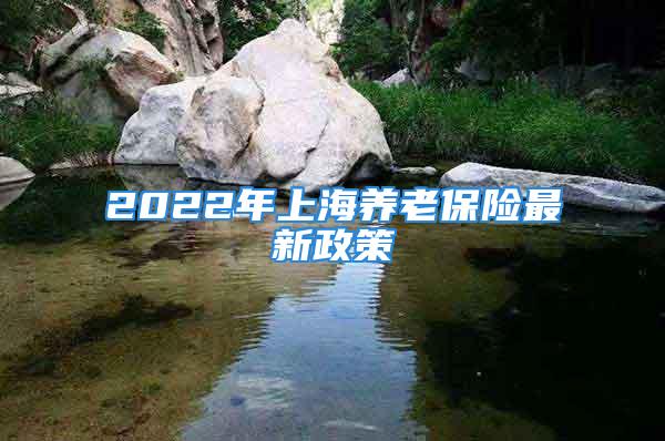 2022年上海養(yǎng)老保險(xiǎn)最新政策