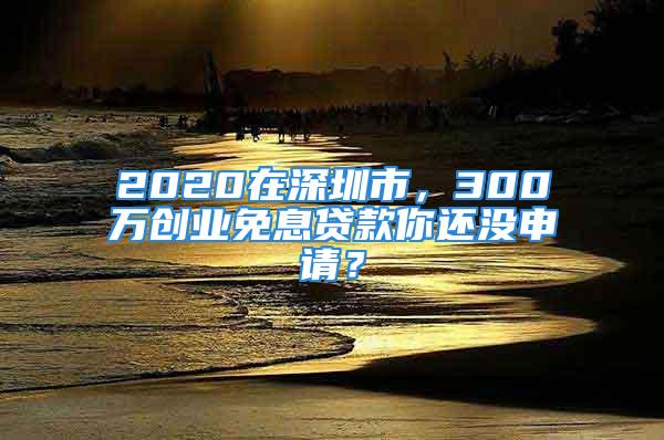 2020在深圳市，300萬創(chuàng)業(yè)免息貸款你還沒申請？