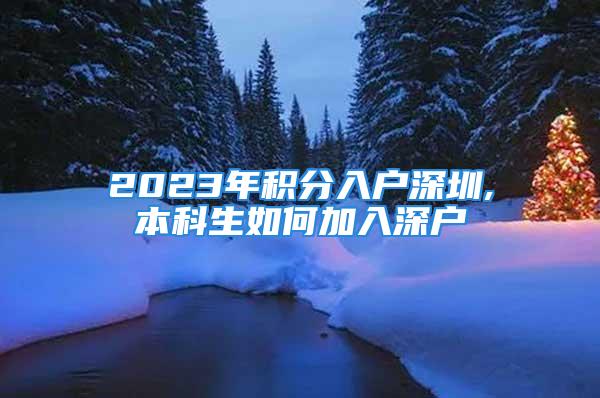 2023年積分入戶深圳,本科生如何加入深戶