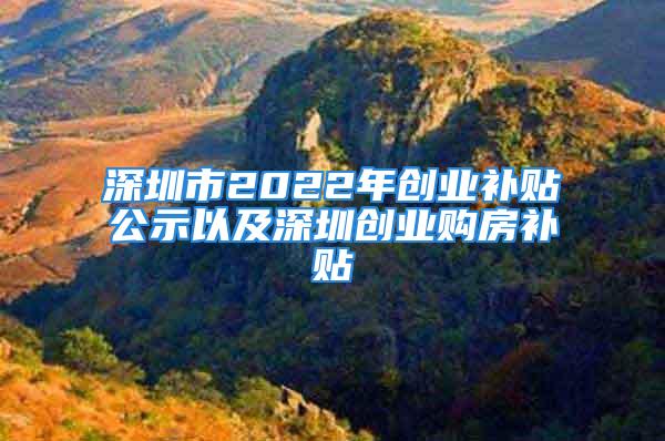 深圳市2022年創(chuàng)業(yè)補(bǔ)貼公示以及深圳創(chuàng)業(yè)購房補(bǔ)貼