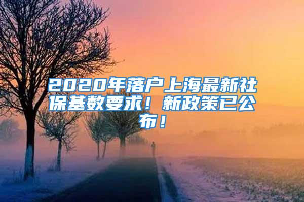 2020年落戶上海最新社?；鶖?shù)要求！新政策已公布！