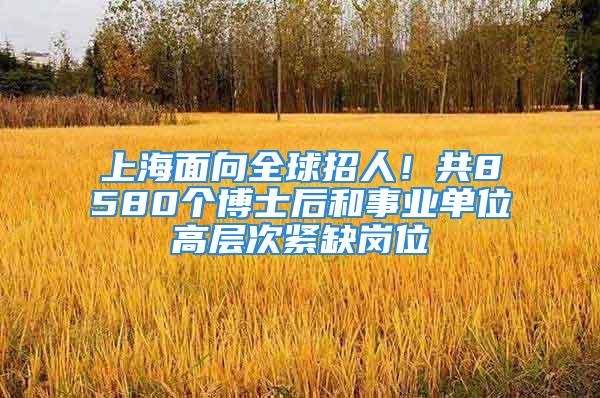 上海面向全球招人！共8580個(gè)博士后和事業(yè)單位高層次緊缺崗位