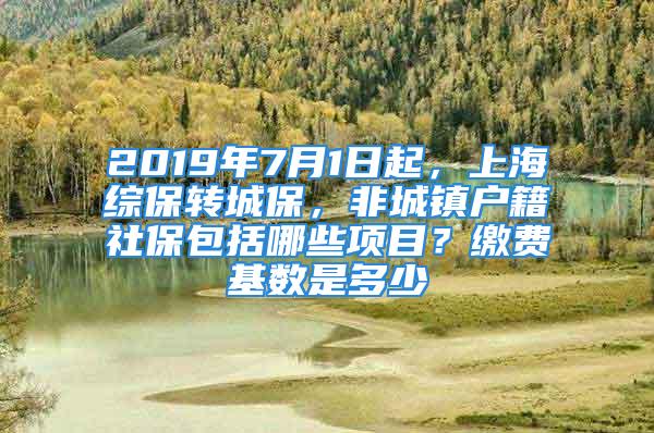 2019年7月1日起，上海綜保轉(zhuǎn)城保，非城鎮(zhèn)戶籍社保包括哪些項目？繳費基數(shù)是多少