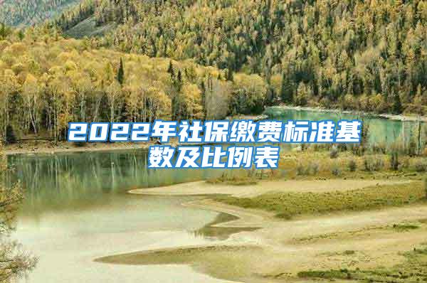 2022年社保繳費(fèi)標(biāo)準(zhǔn)基數(shù)及比例表