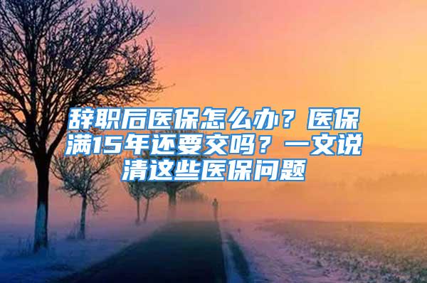 辭職后醫(yī)保怎么辦？醫(yī)保滿15年還要交嗎？一文說清這些醫(yī)保問題