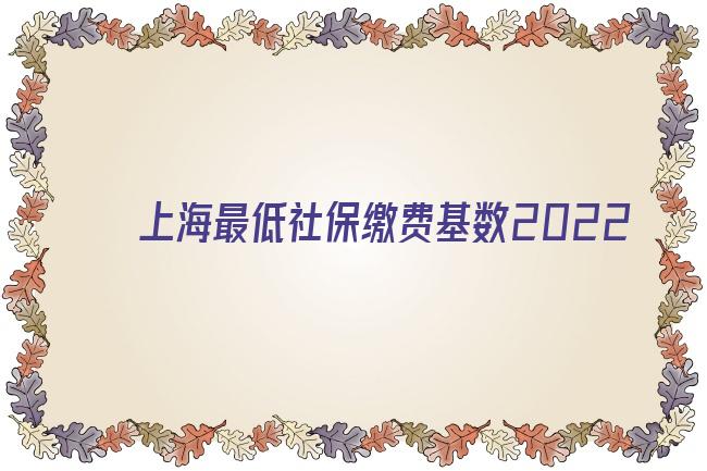 上海最低社保繳費基數2022