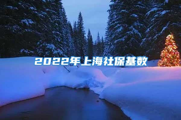 2022年上海社?；鶖?shù)