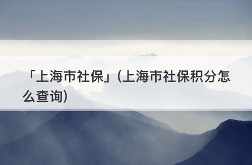 「上海市社?！?上海市社保積分怎么查詢)