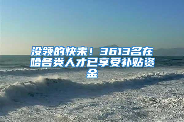 沒領(lǐng)的快來！3613名在哈各類人才已享受補(bǔ)貼資金