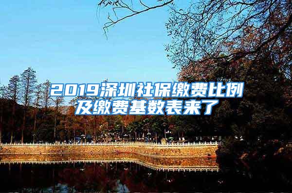 2019深圳社保繳費比例及繳費基數(shù)表來了