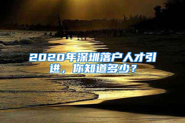 2020年深圳落戶人才引進，你知道多少？