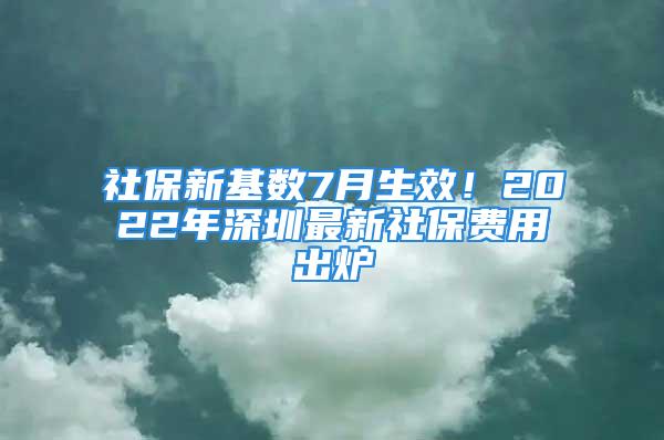 社保新基數(shù)7月生效！2022年深圳最新社保費(fèi)用出爐