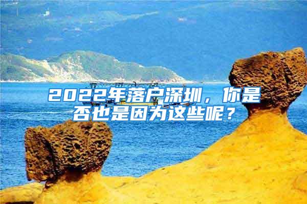 2022年落戶深圳，你是否也是因?yàn)檫@些呢？