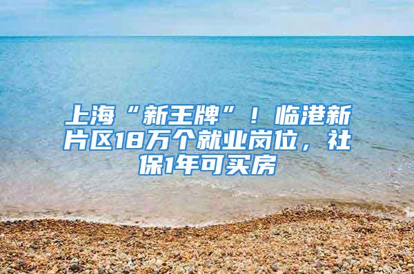 上?！靶峦跖啤保∨R港新片區(qū)18萬個就業(yè)崗位，社保1年可買房