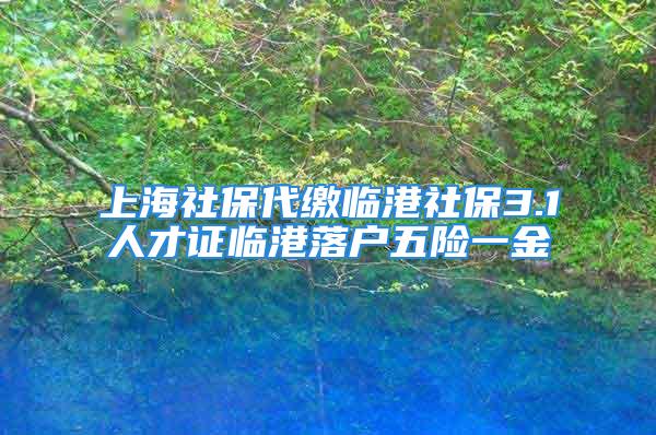 上海社保代繳臨港社保3.1人才證臨港落戶五險(xiǎn)一金