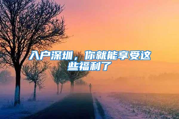 入戶深圳，你就能享受這些福利了