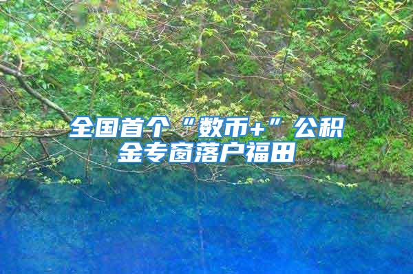 全國首個“數幣+”公積金專窗落戶福田