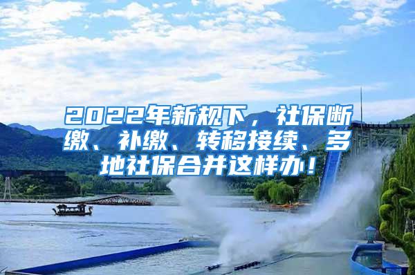 2022年新規(guī)下，社保斷繳、補繳、轉(zhuǎn)移接續(xù)、多地社保合并這樣辦！