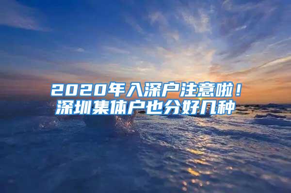 2020年入深戶注意啦！深圳集體戶也分好幾種