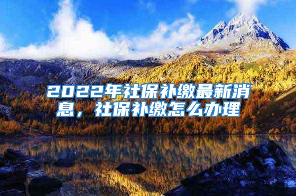 2022年社保補(bǔ)繳最新消息，社保補(bǔ)繳怎么辦理