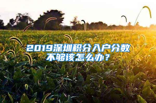 2019深圳積分入戶分?jǐn)?shù)不夠該怎么辦？