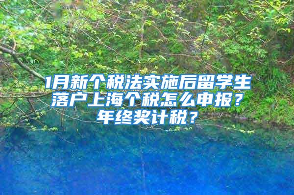 1月新個稅法實施后留學(xué)生落戶上海個稅怎么申報？年終獎計稅？