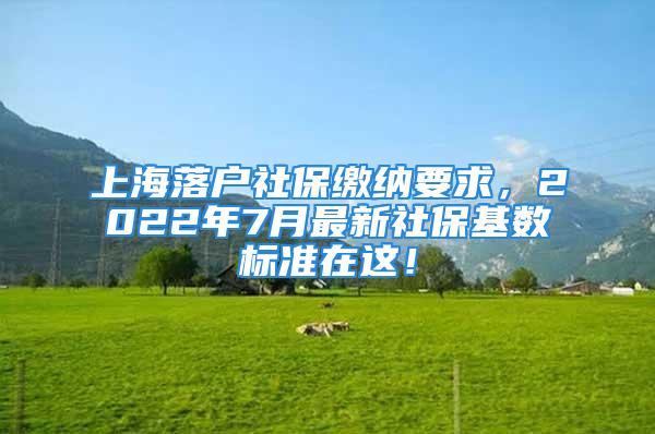 上海落戶社保繳納要求，2022年7月最新社?；鶖?shù)標(biāo)準(zhǔn)在這！