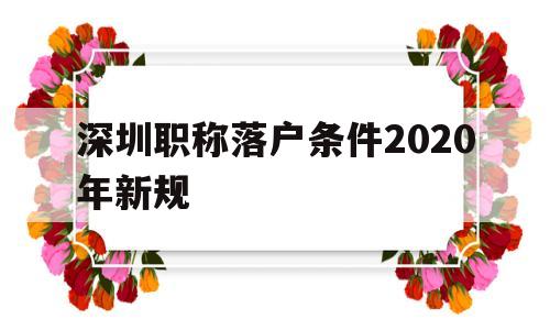 深圳職稱落戶條件2020年新規(guī)(深圳人才引進落戶條件2020年新規(guī)) 深圳學(xué)歷入戶