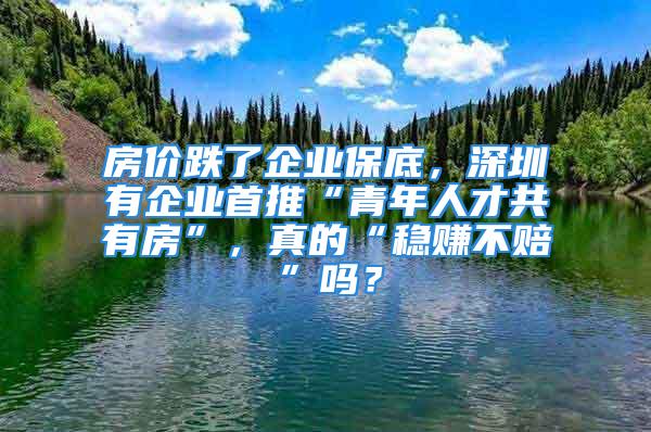 房?jī)r(jià)跌了企業(yè)保底，深圳有企業(yè)首推“青年人才共有房”，真的“穩(wěn)賺不賠”嗎？