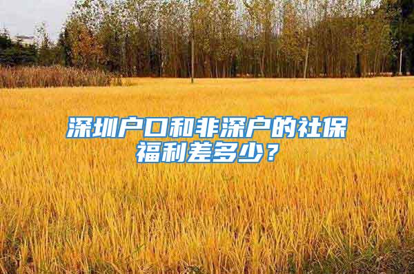 深圳戶口和非深戶的社保福利差多少？