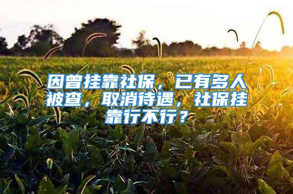 因曾掛靠社保，已有多人被查，取消待遇，社保掛靠行不行？