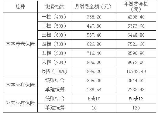 2.社保賬戶費用繳納.png