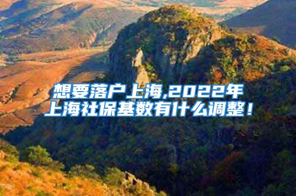 想要落戶上海,2022年上海社?；鶖?shù)有什么調(diào)整！