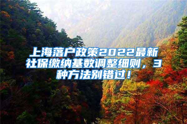 上海落戶政策2022最新社保繳納基數(shù)調(diào)整細則，3種方法別錯過！